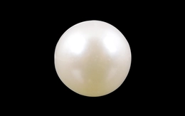 Pearl - SSP 8556 (Origin - South Sea) Prime - Quality